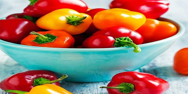 تصویر 4 از قیمت فلفل دلمه ای صیفی جات با کیفیت ارزان + خرید عمده